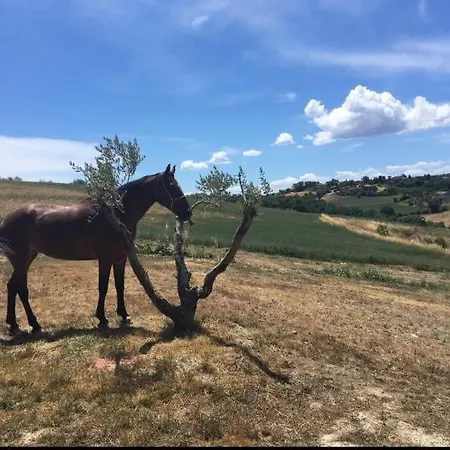 Farm stay Il Merollo